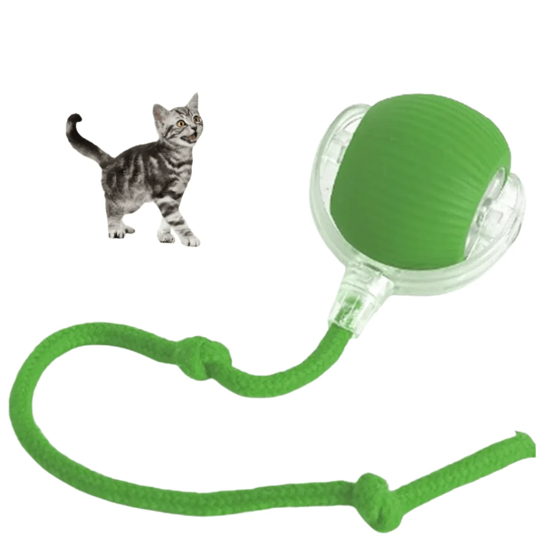 1+1 gratis CatMotion - Minimaliseert stress door regelmatige uitdagingen - Afbeelding 3