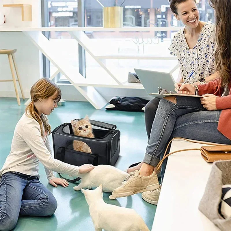 Vouwbare Draagtas voor Huisdieren - Ademend Nylon Oxford, Zwart en Paars, Geschikt voor Katten en Kleine Honden - Afbeelding 5